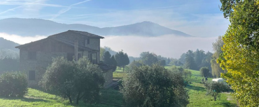 cortona2